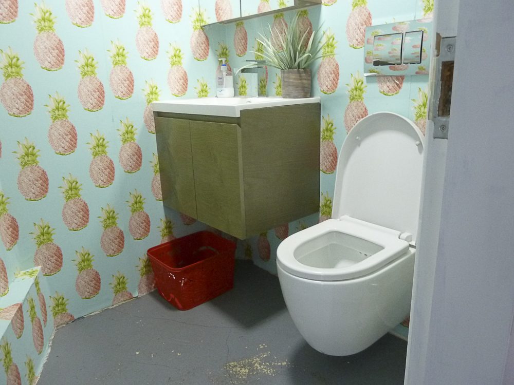 Basement – WC