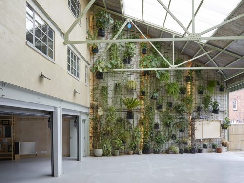 Triple height courtyard, living wall & rollor shutter entrance